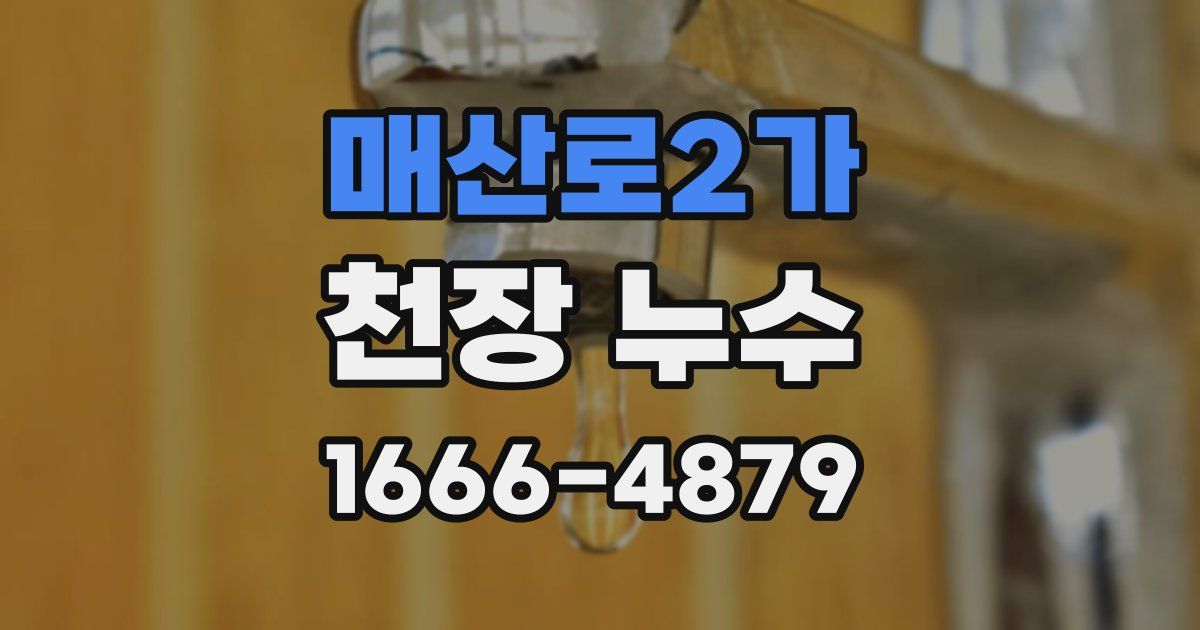 매산로2가 천장 누수