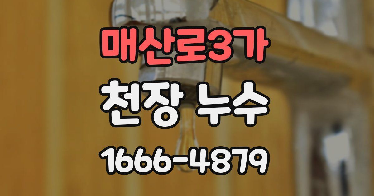 매산로3가 천장 누수