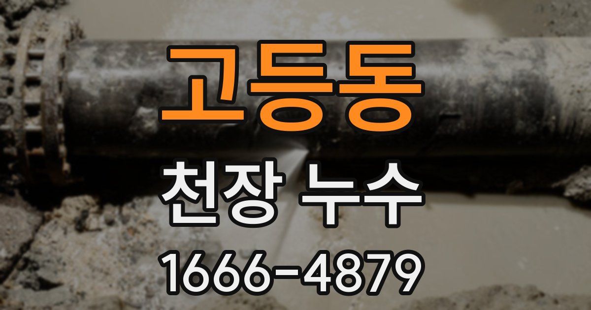 고등동 천장 누수