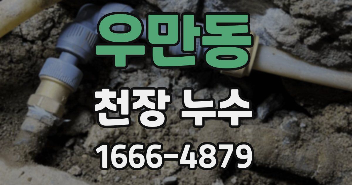 우만동 천장 누수