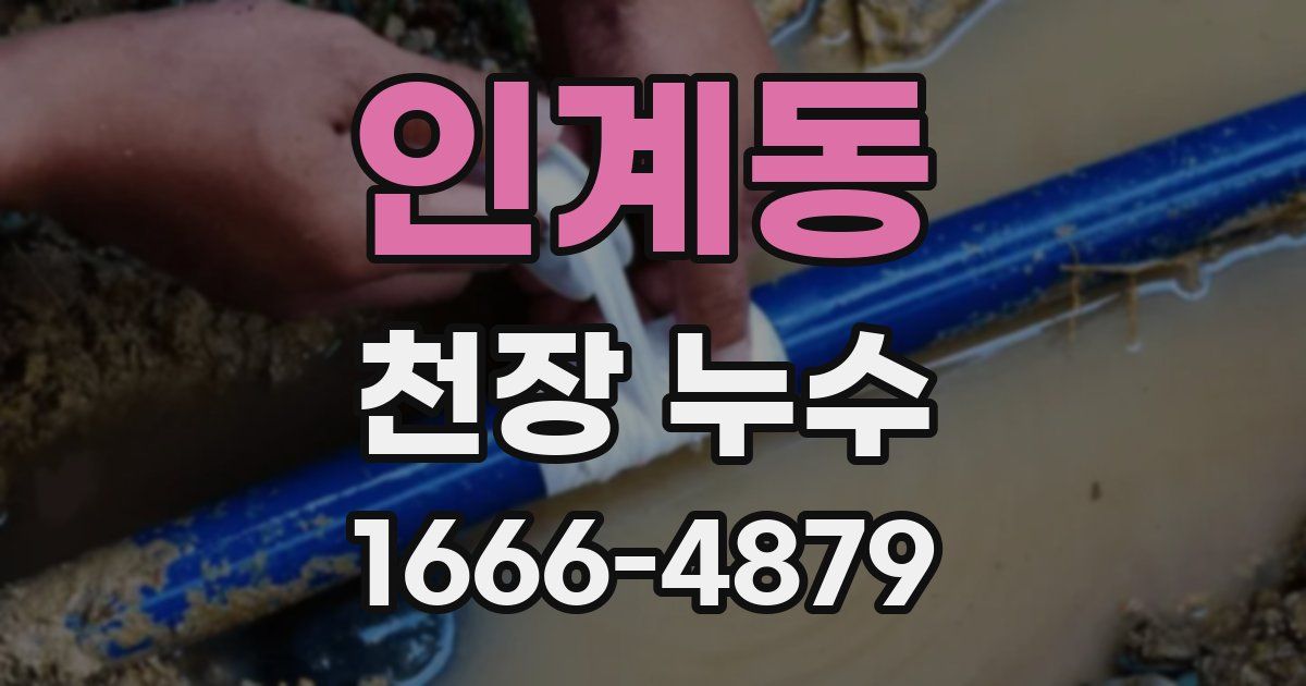 인계동 천장 누수