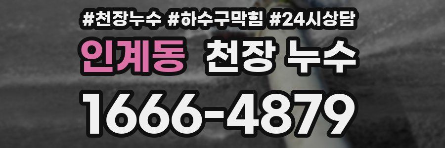 인계동 천장 누수