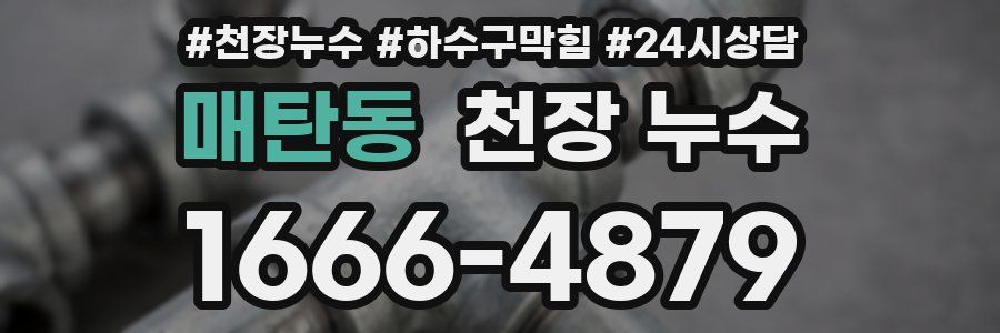 매탄동 천장 누수