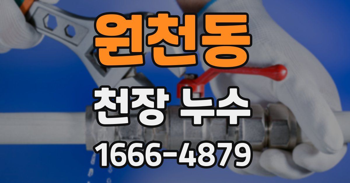 원천동 천장 누수