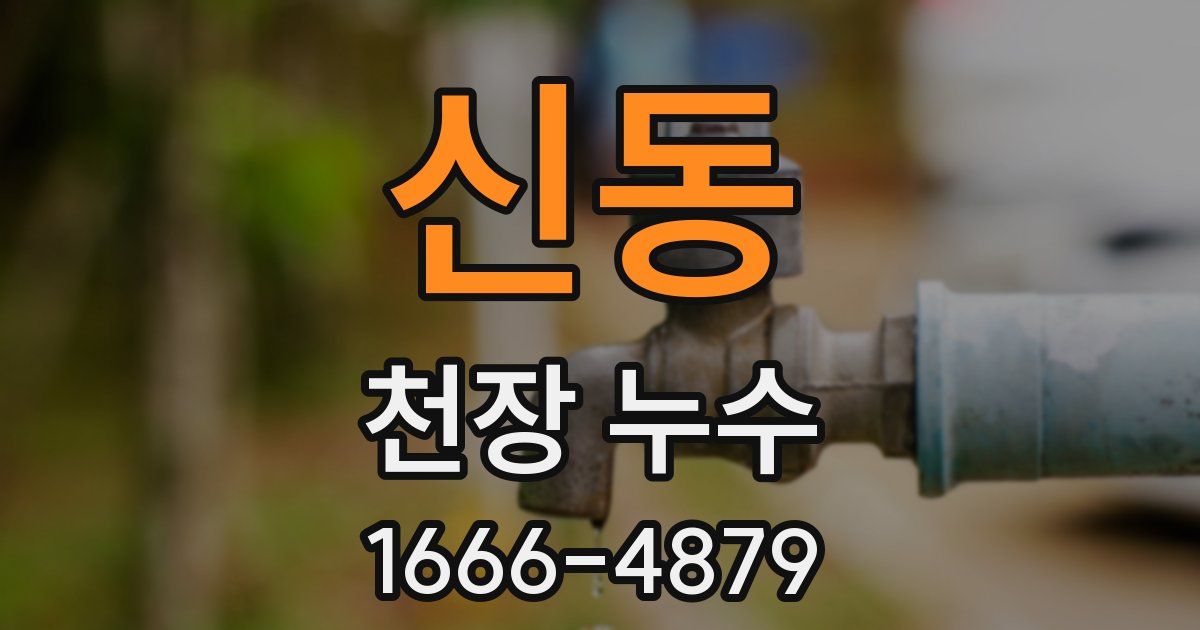 신동 천장 누수