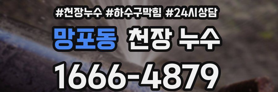 망포동 천장 누수