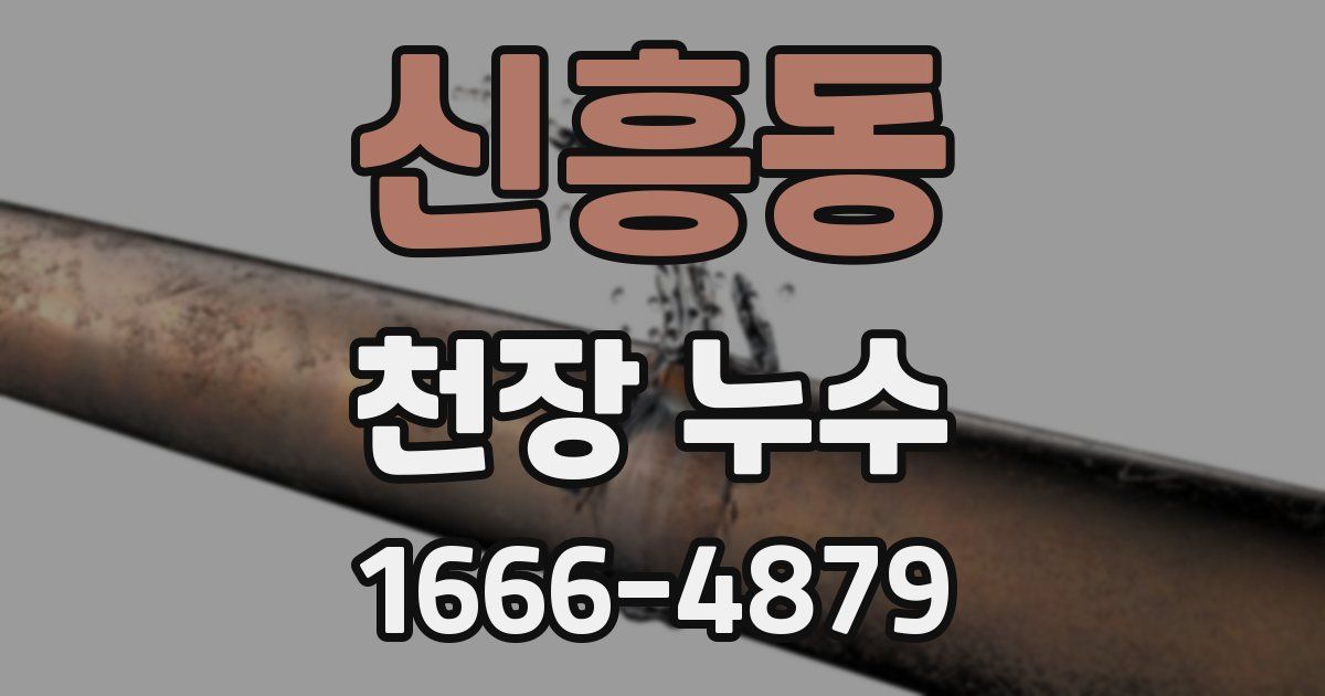 신흥동 천장 누수