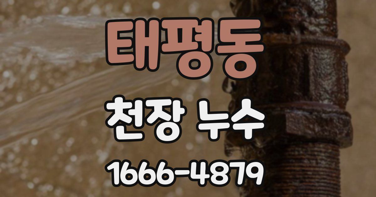 태평동 천장 누수