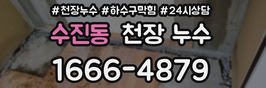 수진동 천장 누수