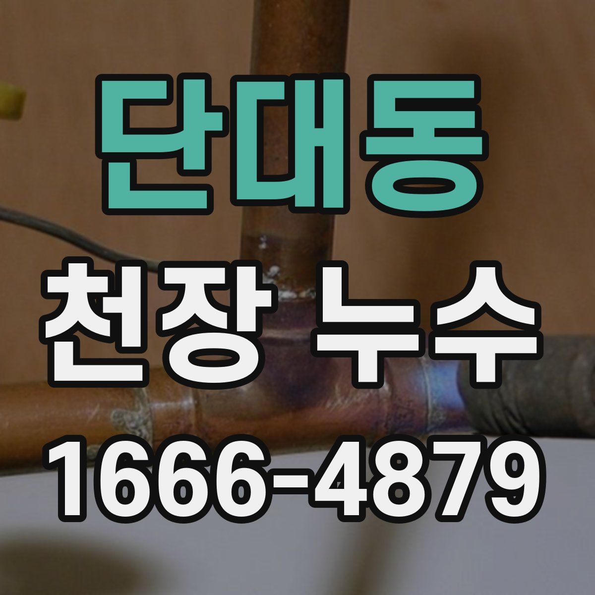 단대동 천장 누수