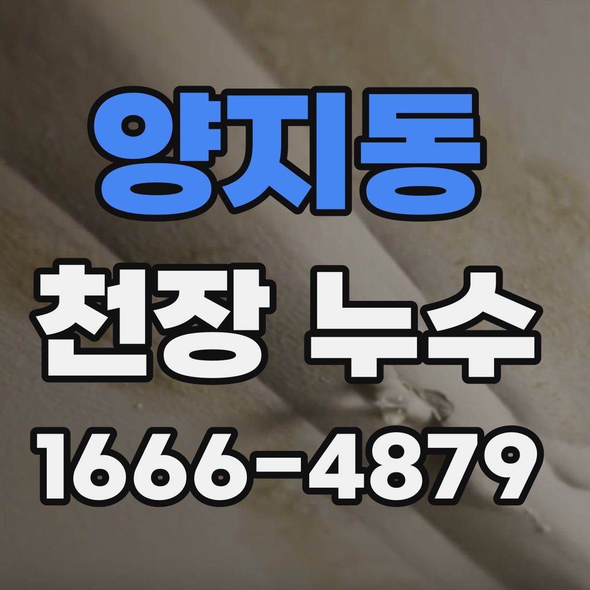 양지동 천장 누수 천장 누수 해결 후 재발 여부 확인하기