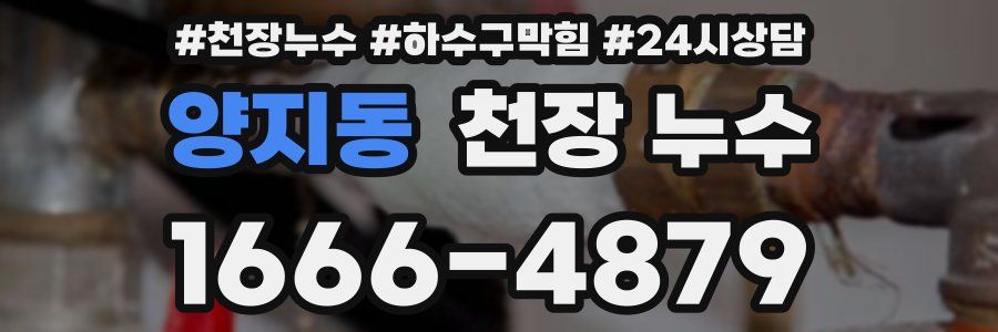 양지동 천장 누수