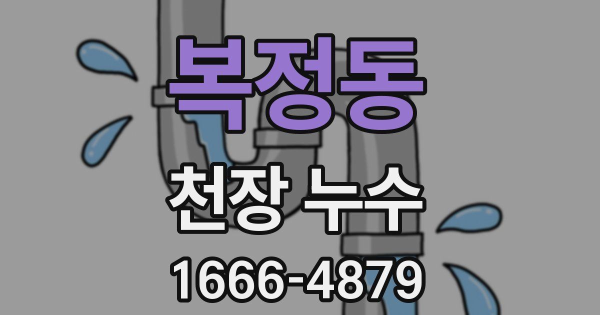 복정동 천장 누수