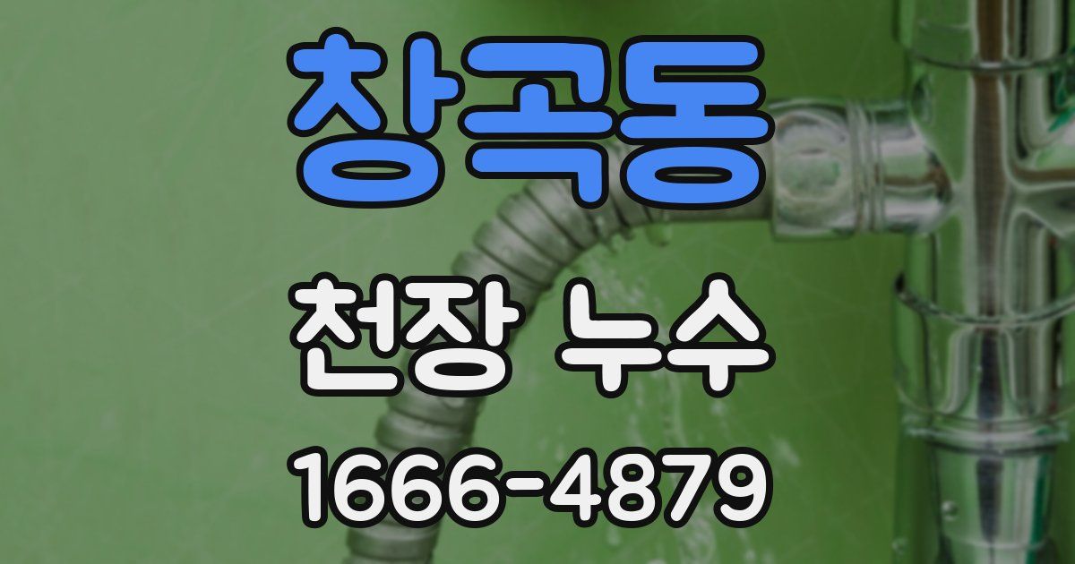 창곡동 천장 누수