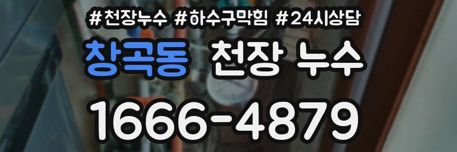 창곡동 천장 누수