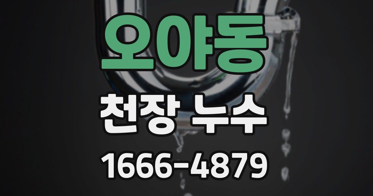 오야동 천장 누수