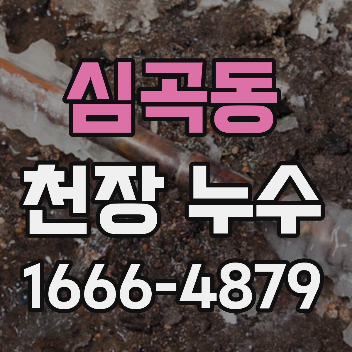 심곡동 천장 누수 천장 곰팡이 냄새가 심해지면 원인 확인
