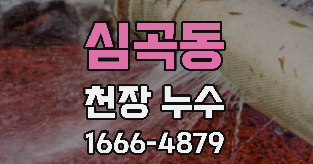 심곡동 천장 누수