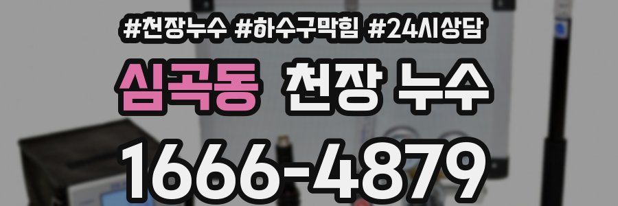 심곡동 천장 누수