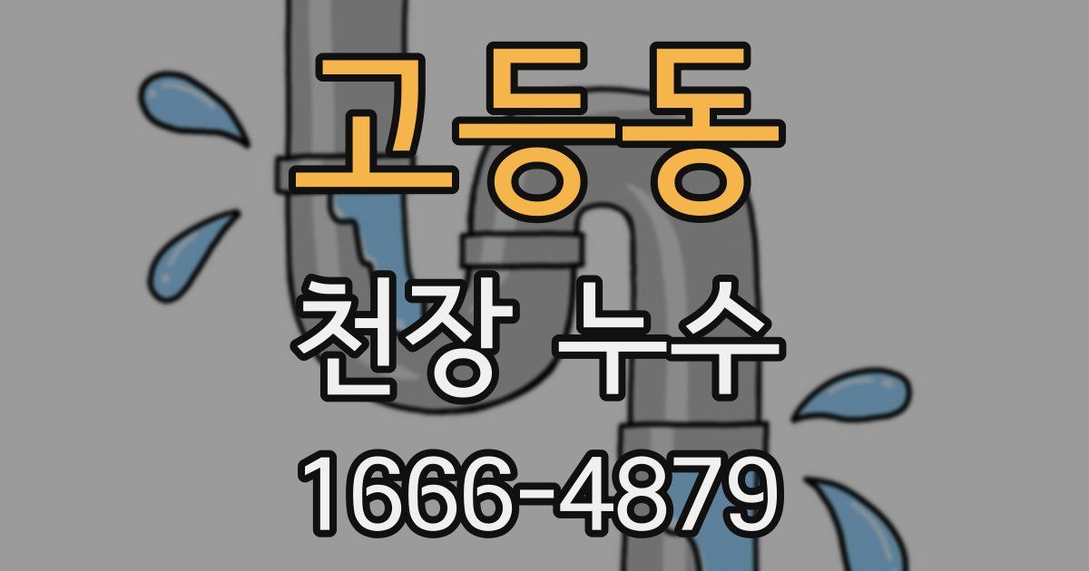 고등동 천장 누수