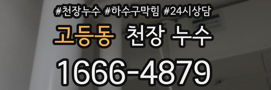 고등동 천장 누수