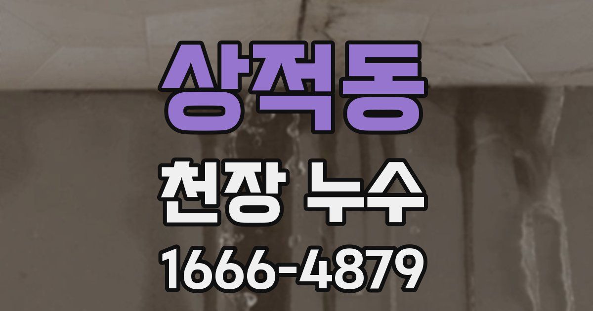상적동 천장 누수