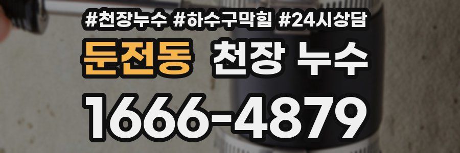 둔전동 천장 누수