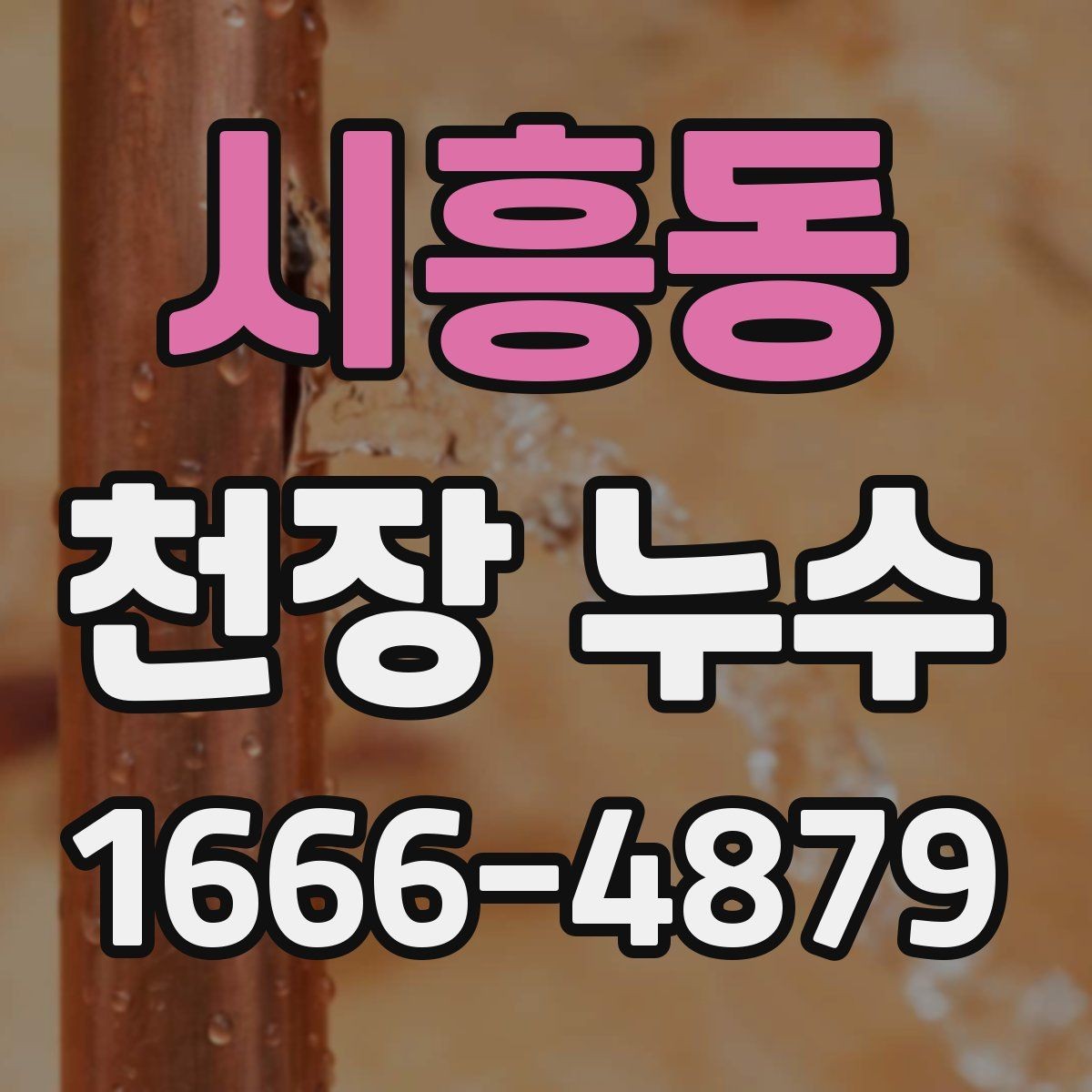시흥동 천장 누수 천장 위에서 뚝뚝 소리가 날 때 확인할 것