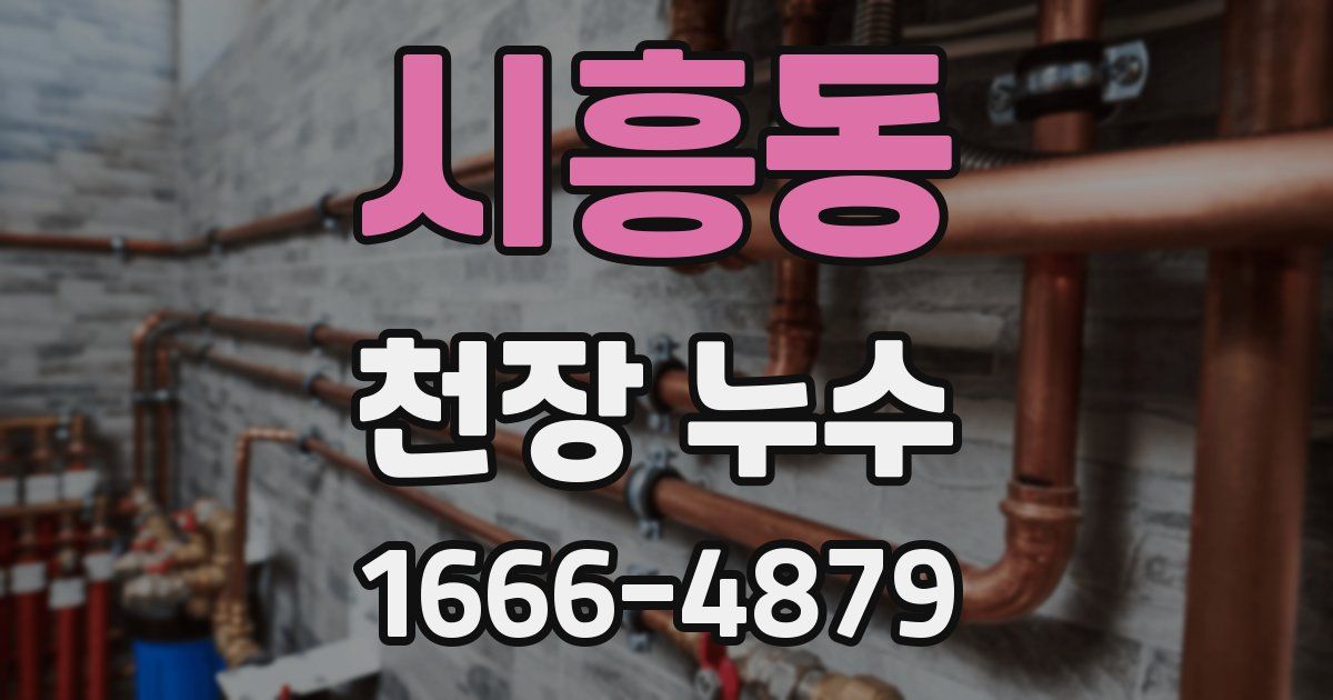 시흥동 천장 누수