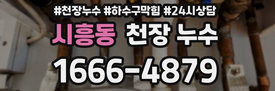 시흥동 천장 누수