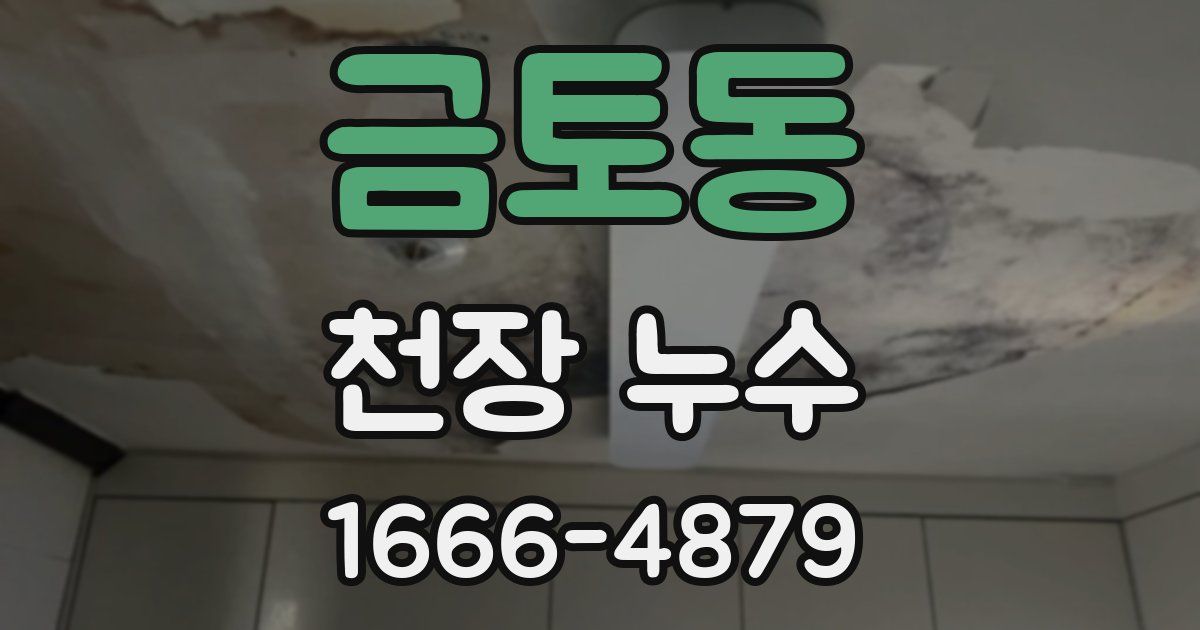금토동 천장 누수