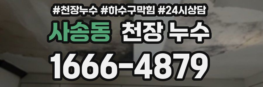 사송동 천장 누수