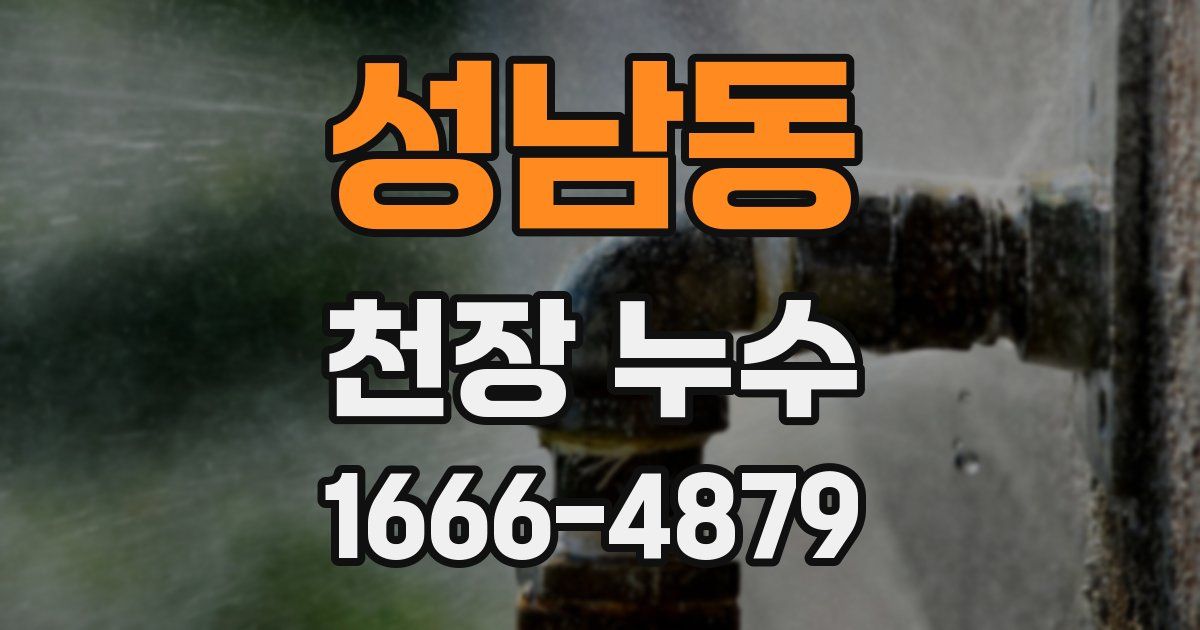 성남동 천장 누수