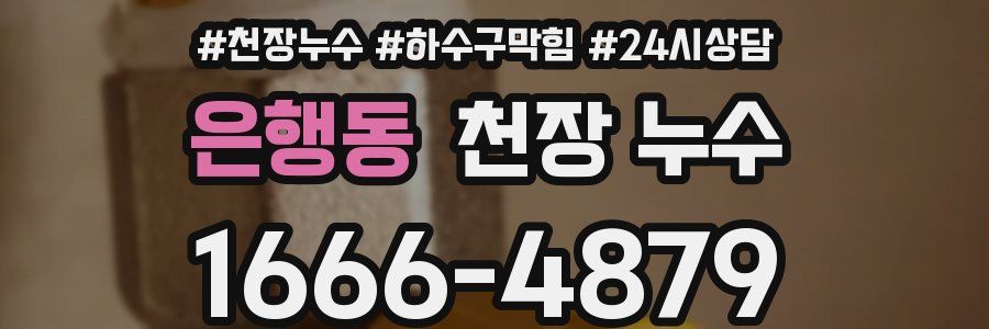 은행동 천장 누수