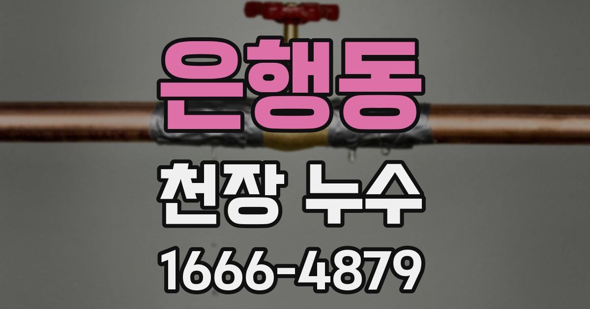 은행동 천장 누수