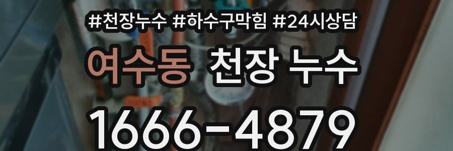 여수동 천장 누수