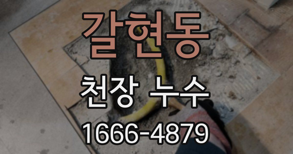 갈현동 천장 누수