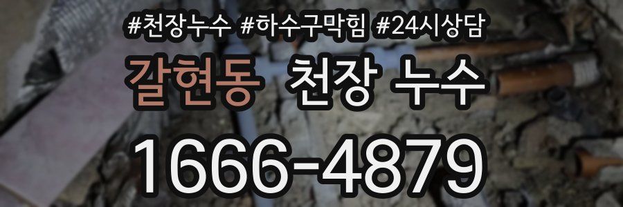 갈현동 천장 누수