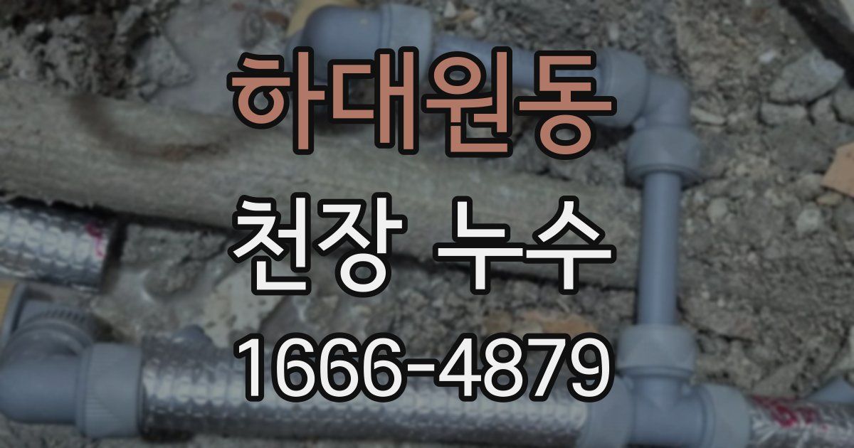 하대원동 천장 누수