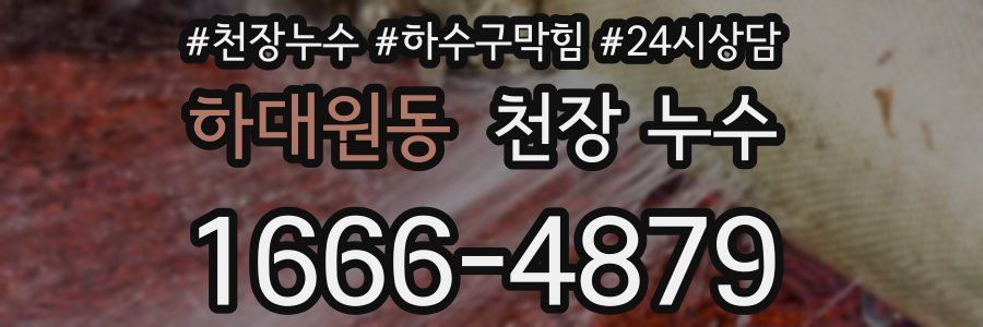 하대원동 천장 누수