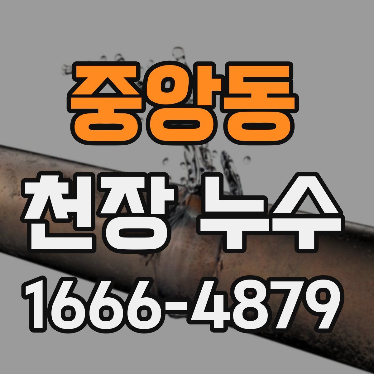 중앙동 천장 누수