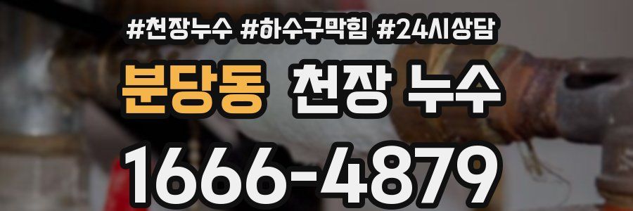 분당동 천장 누수