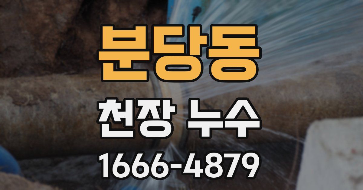 분당동 천장 누수