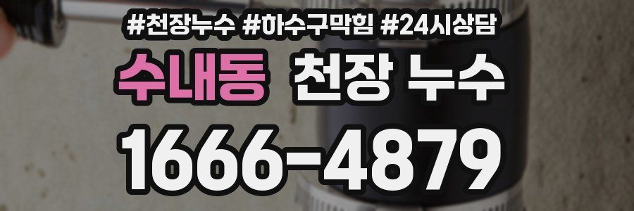 수내동 천장 누수