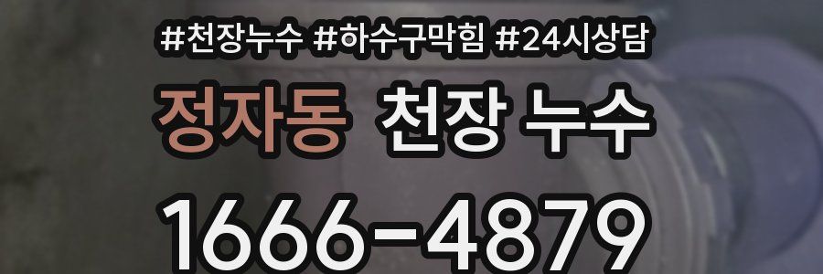 정자동 천장 누수