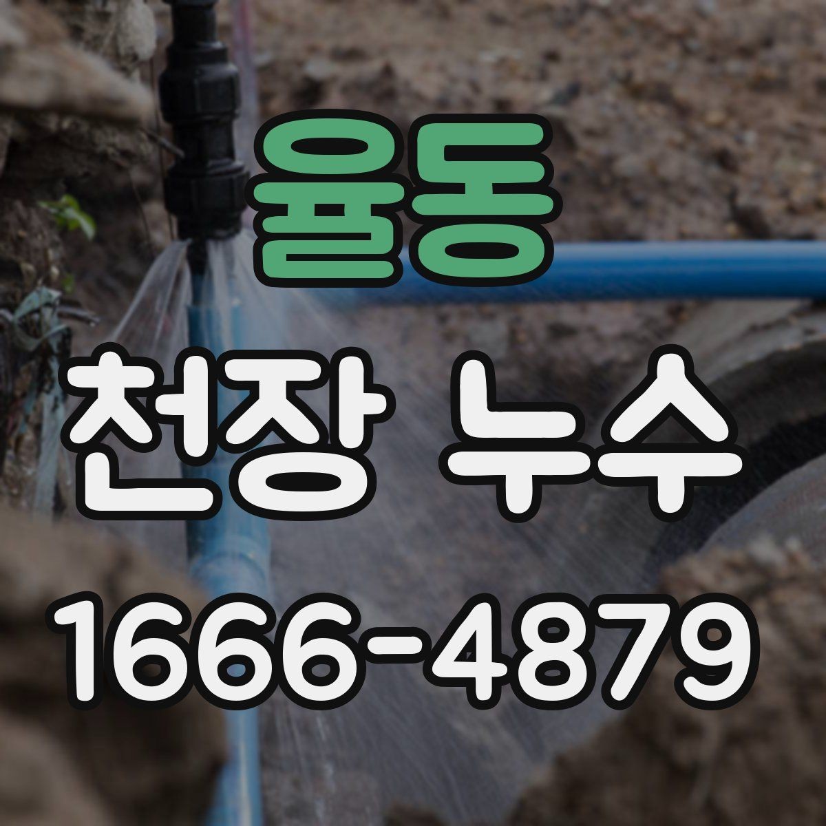 율동 천장 누수 원인 해결 후 복구는 언제 하는 게 좋을까