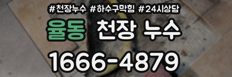 율동 천장 누수