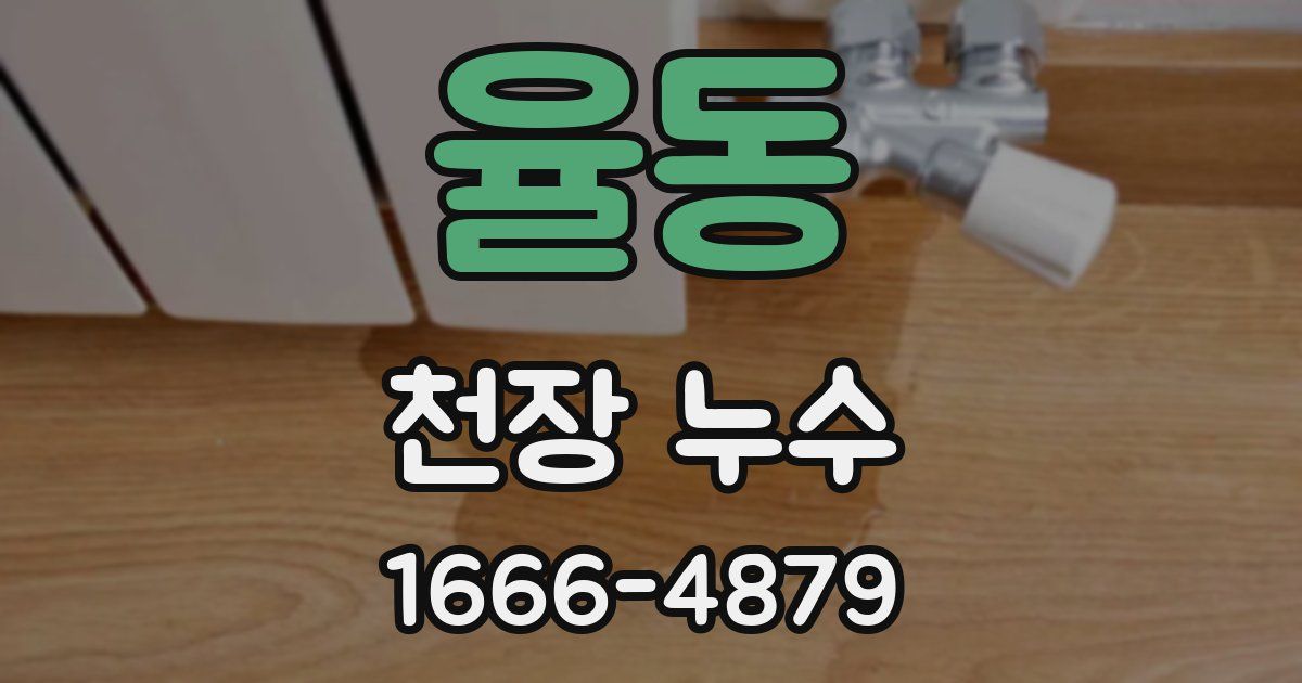 율동 천장 누수