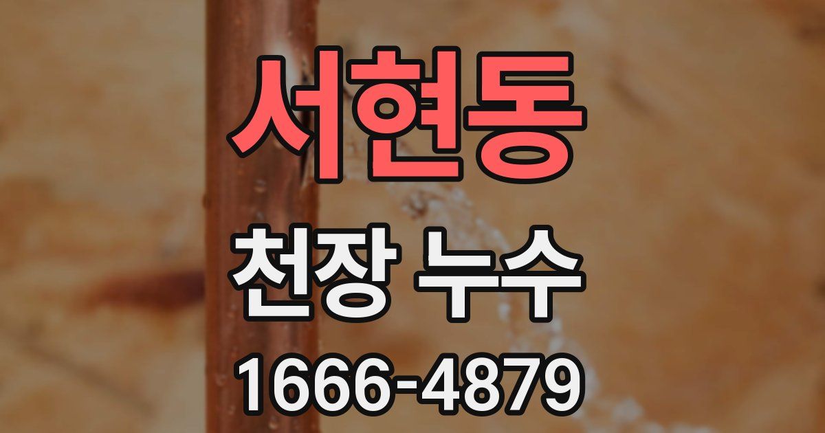 서현동 천장 누수
