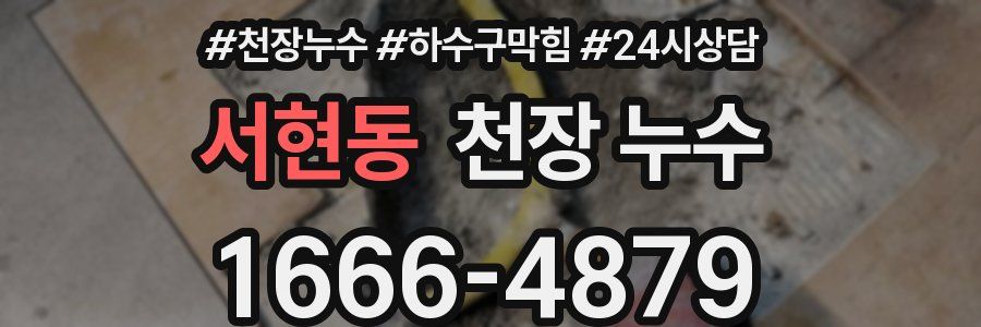 서현동 천장 누수